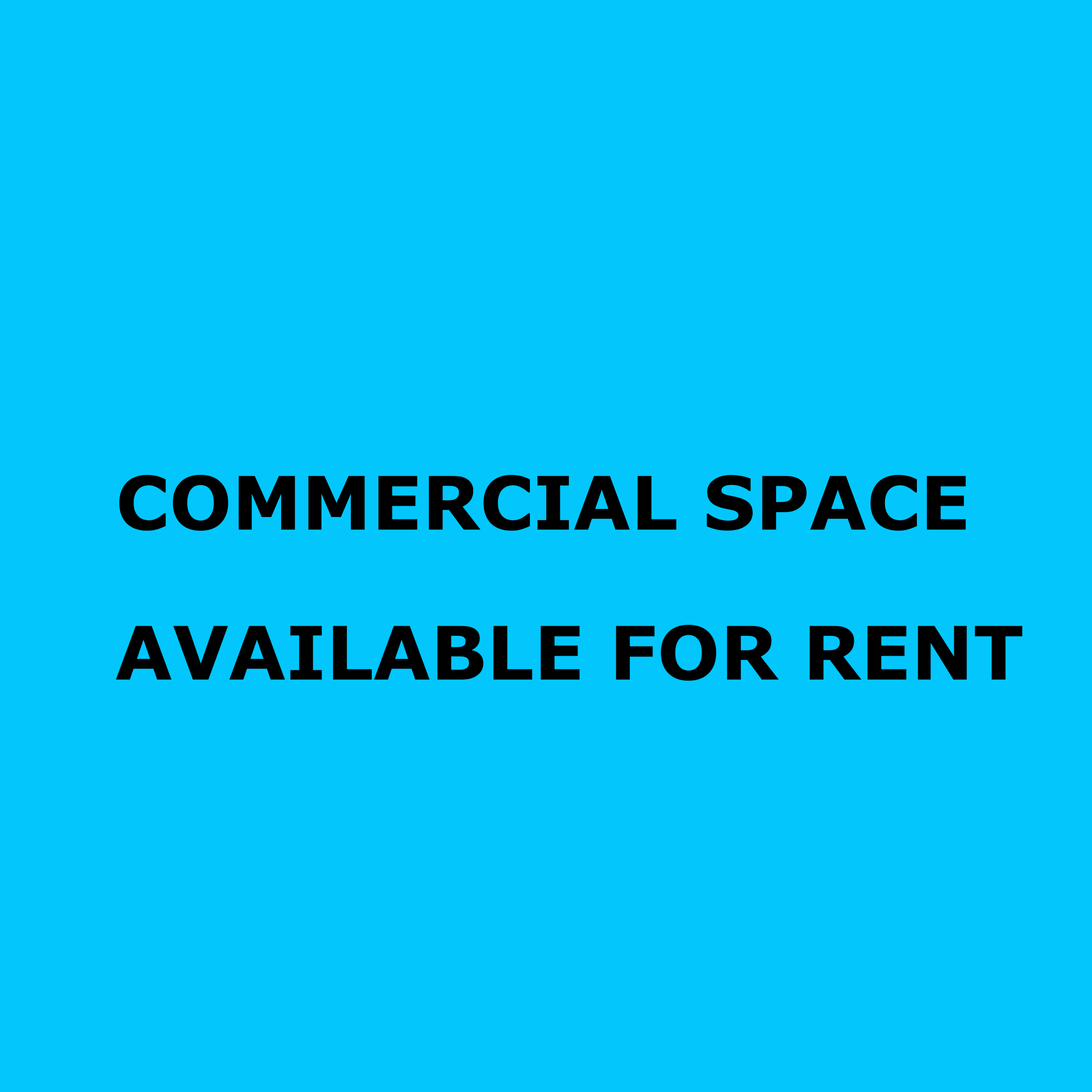 COMMERCIAL SPACE AVAILABLE FOR RENT #1